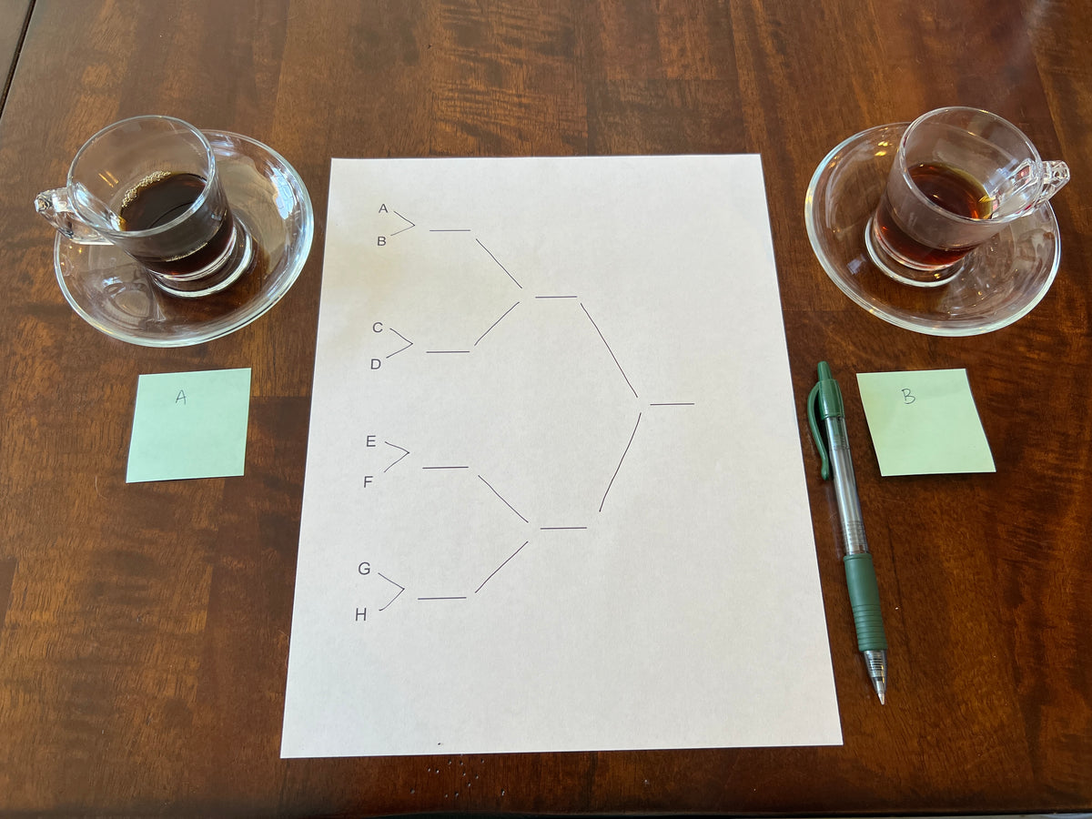 The Coffee Showdown: 8 Coffees, One Champion