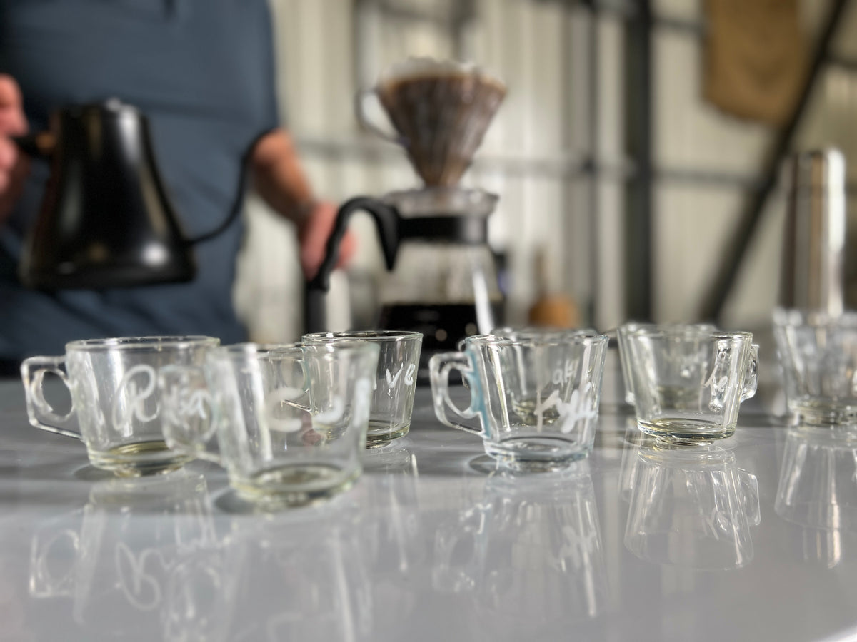 Costa Rica in 8 Cups: A Guided Coffee Tasting